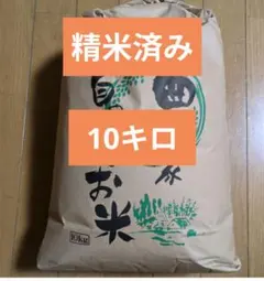 精米済み　10キロ　白米　コシヒカリ　長野県産　令和6年のサムネイル