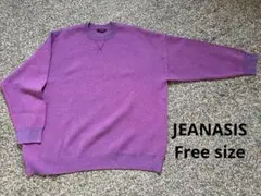 JEANASIS 12GWジャガードボリュームスリーブプルオーバー