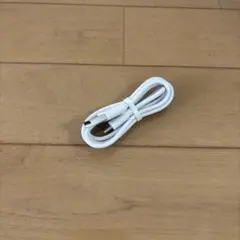 USB typeC ケーブル