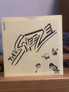 THE SNEEZE CHRONIC WAVE 7インチ　パンク　パンク天国