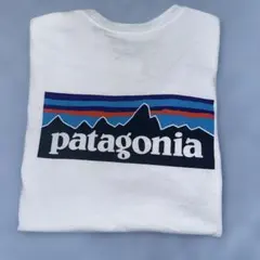 patagonia ホワイト Tシャツ