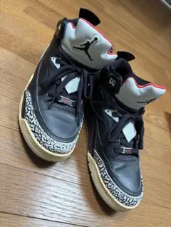 Air Jordan 3 ブラック/レッド/ホワイト