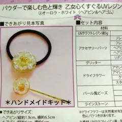 レジンアクセサリー　ハンドメイドキット　ヘアゴム＆ヘアピン