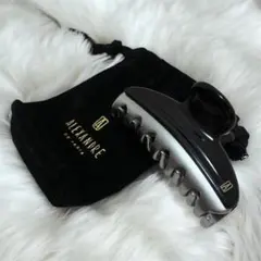 ALEXANDRE DE PARIS アレクサンドゥパリ ヘアクリップ ブラック