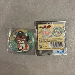 どつぶつフォーゼ 缶バッジ 中在家長次