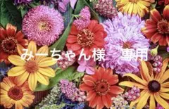 みーちゃん様　専用　1