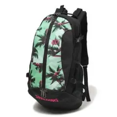 Item thumbnail for item 2e4df9ef-71bb-49c4-a613-fb829718a9f3