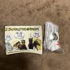 ハヤヤッコ　アイドルホース