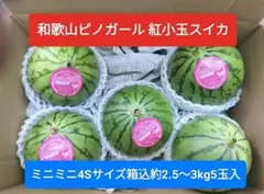 特値。和歌山ピノガール 紅 玉スイカ良品ミニミニ4Ｓ5玉入箱込約2.5〜3kg,のサムネイル