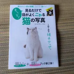 Item thumbnail for item 27a39898-f21c-446a-98f3-2d51402ed84d