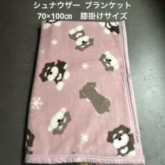 《新品》シュナウザー 犬柄　シルクマイヤーブランケット 約70×100 cm