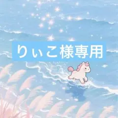 りぃこ様専用