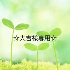 ☆大吉様専用☆