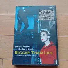 2025年最新】ビガー・ザン・ライフ 黒の報酬の人気アイテム