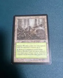 MTG ヒッコリーの植林地 日本語4枚セット - メルカリ