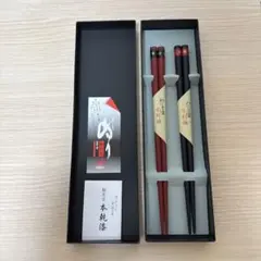 【新品未使用品】輪島塗 黒箱二膳入 乾漆小紋 赤・黒