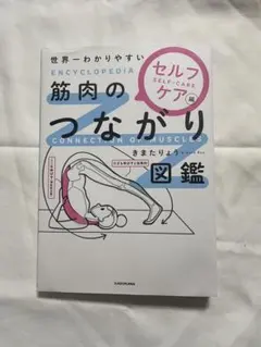 筋肉のつながり図鑑