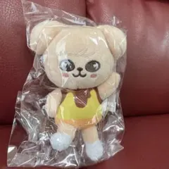 Stray Kids スキズ プラッシュ クロスバッグ PuppyM - メルカリ