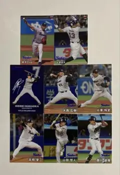 2024・2025 カルビープロ野球チップスカード 東京ヤクルトスワローズ