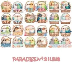 PARADISEパネル生地　 インコ柄