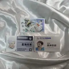 ハイキュー ファンパーク 名刺カードコレクション