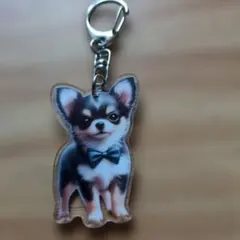 新品未使用で可愛いチワワ アクリルキーホルダー ボウタイ付き