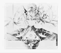 WALLHACK SP-004 Frenzy Sora 世界2000枚限定モデル - メルカリ
