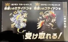 色違いミライドン　コライドン　2体セット！