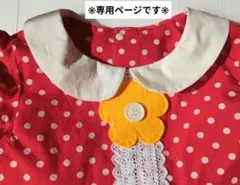 いちご　❤︎フォロー割あります❤︎様専用ページです❀　(リピーター様)