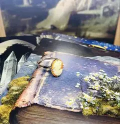 사쿠마憂様　　オーダー®️