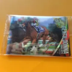 ヨッシー様 リクエスト 2点 まとめ商品