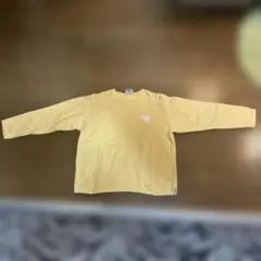 オーセンティックピグメント