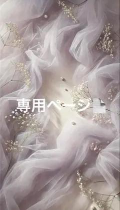 専用ページ⭐︎