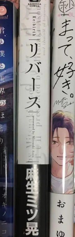 blコミック ボーイズラブ