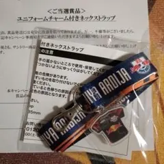 ユニフォームチャーム付きネックストラップ 大宮アルディージャ 杉本健勇 非売品