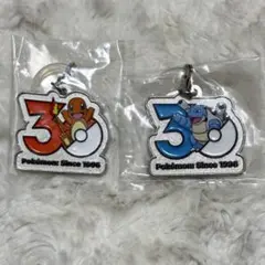 ポケモン 30周年 メタルチャーム ヒトカゲ カメックス