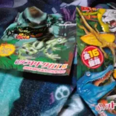 ジャングルアンドコ