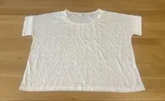 レディースTシャツのサムネイル