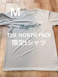 2026年最新】ウルトラマラソンtシャツ ノースフェイスの人気アイテム