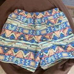 パタゴニア バギーズショーツ 5インチ HGSA 【美品】M 2024廃盤