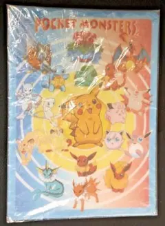 ポケモン 昔 平成 下敷き ノート まとめ売り - メルカリ