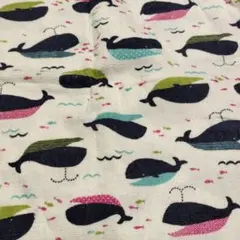 Item thumbnail for item e6a0569d-ebb1-4732-8c9f-74455b87fb41