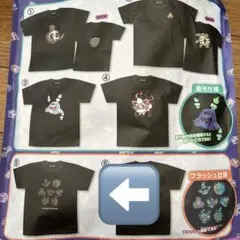 新品 ポケモン トレーナーズ パルデア編 Tシャツ ペパー ナンジャモ 