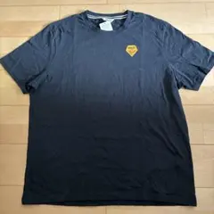 【値下げ】AIGLE 1853 グラデーション Tシャツのサムネイル