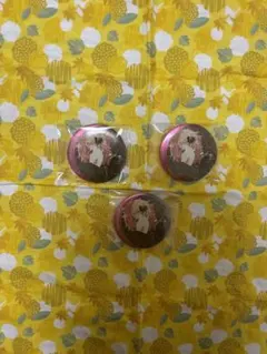 ツキウタ 如月恋 缶バッジ セット ツキウタ。 如月恋 缶バッジセット - メルカリ