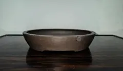 陶器製ダークブラウン楕円形盆栽鉢　山秋