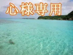 心様専用❗