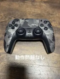DualSense ワイヤレスコントローラー 迷彩柄