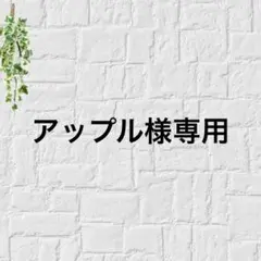 CANP7 Tシャツ　M グリーン