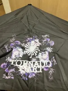 Item thumbnail for item e4751038-b22e-4e29-8af3-9dc6e415f2bf